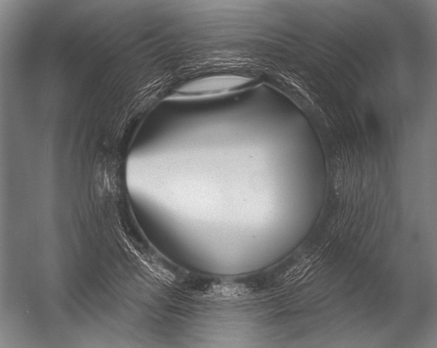 X0000052960455200507300115