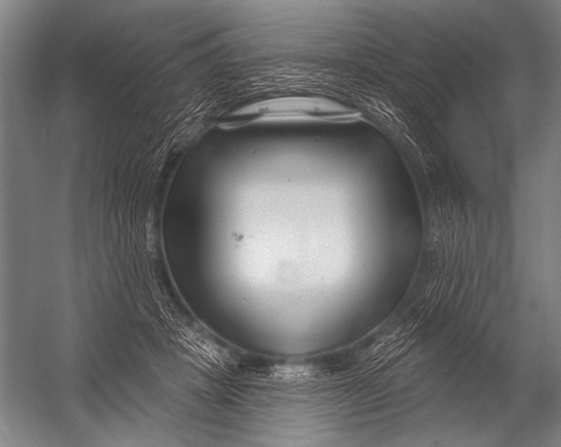 X0000052960457200507300116