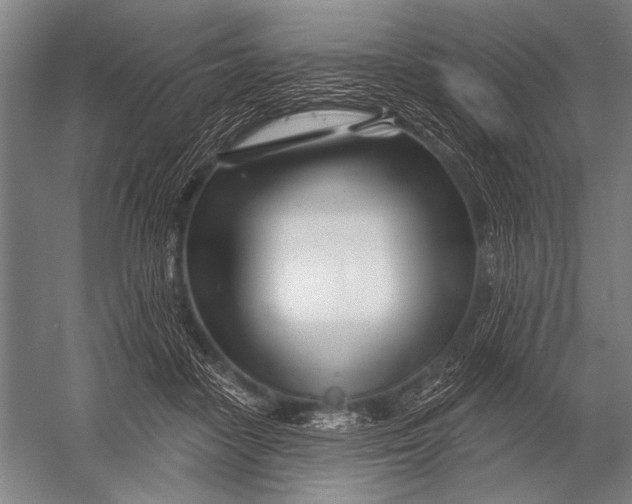 X0000052960458200507300116