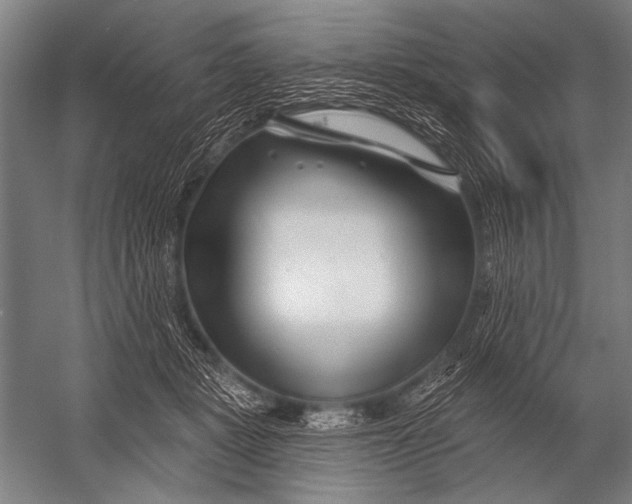 X0000052960461200507300116