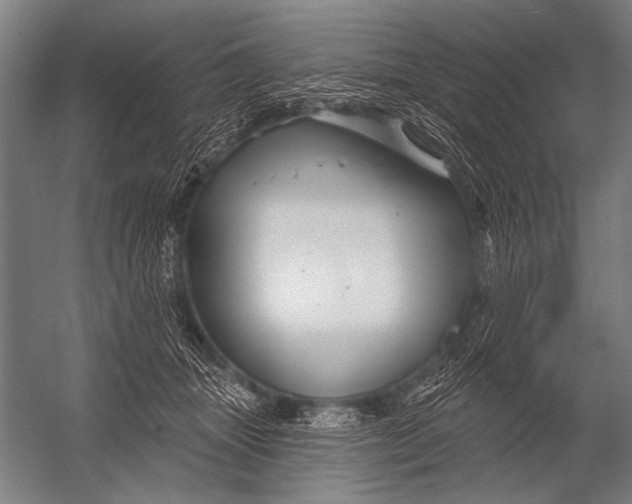 X0000052960463200507300116