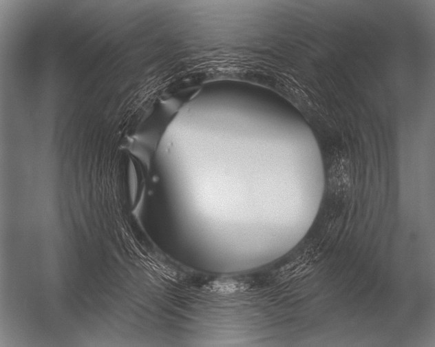 X0000052960464200507300116