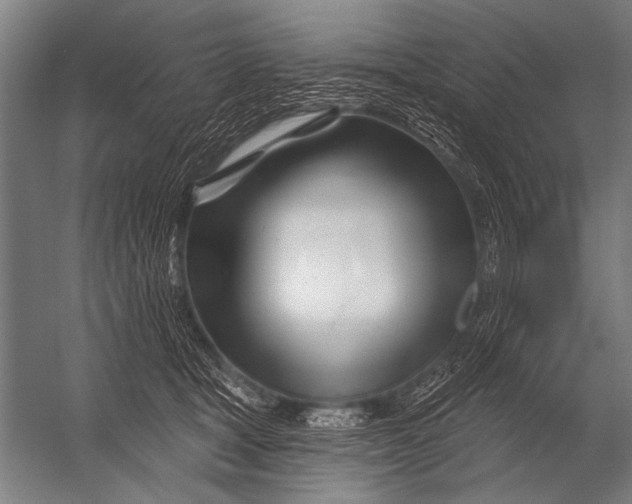 X0000052960465200507300116
