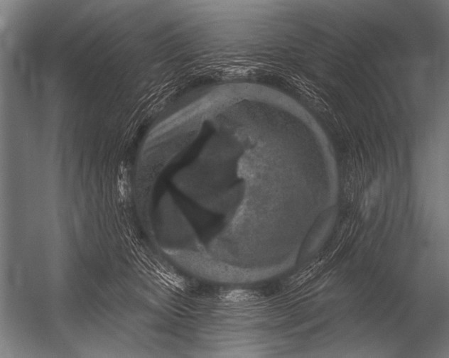 X0000052960467200507300116