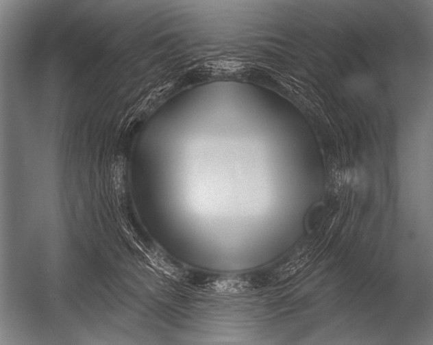 X0000052960468200507300116