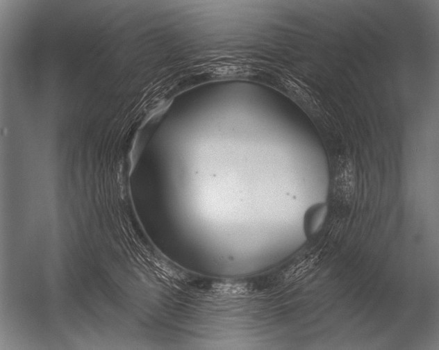 X0000052960469200507300116
