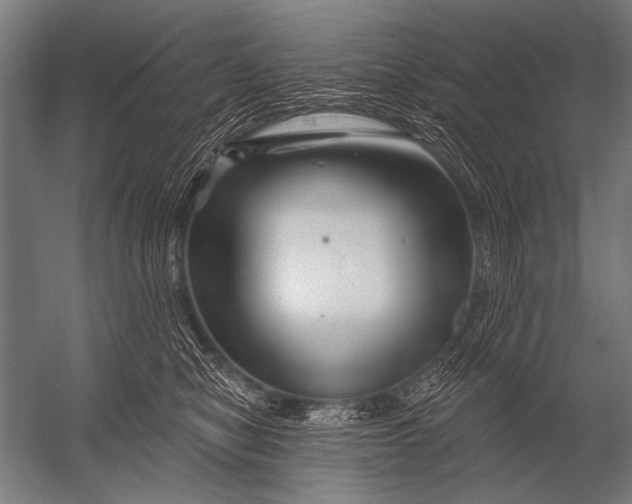 X0000052960470200507300116