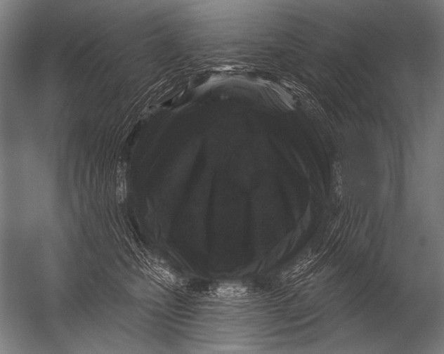 X0000052960471200507300116