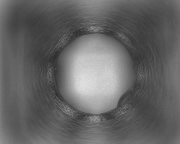 X0000052960473200507300116