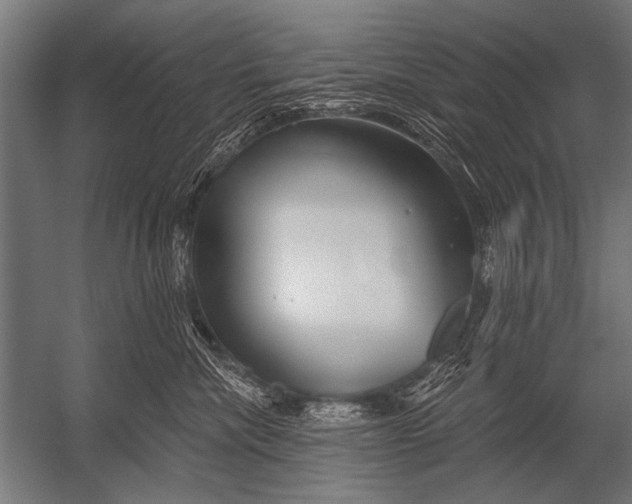 X0000052960476200507300116