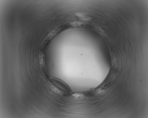 X0000052960477200507300116