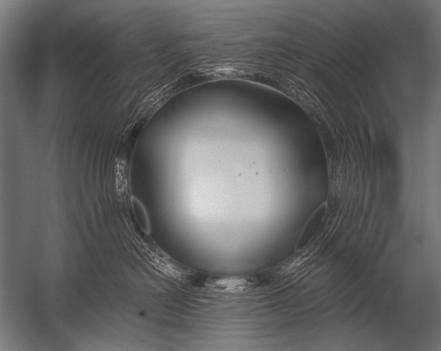 X0000052960478200507300116