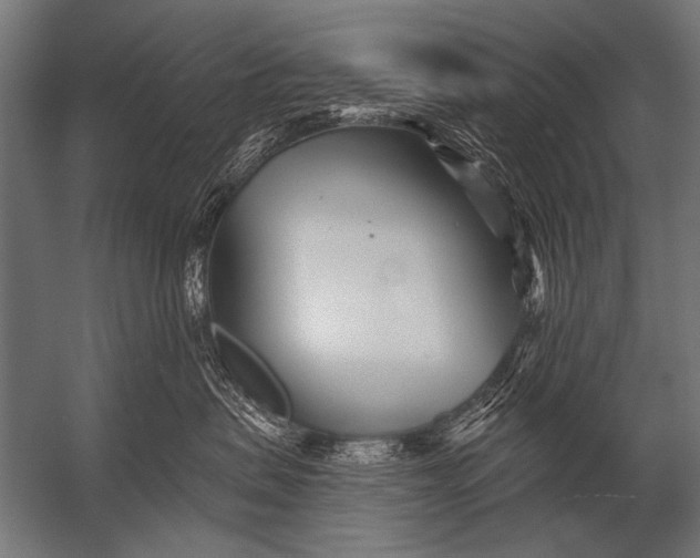 X0000052960479200507300116