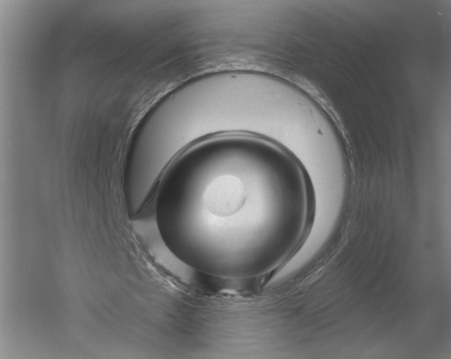 X0000052960481200507300115