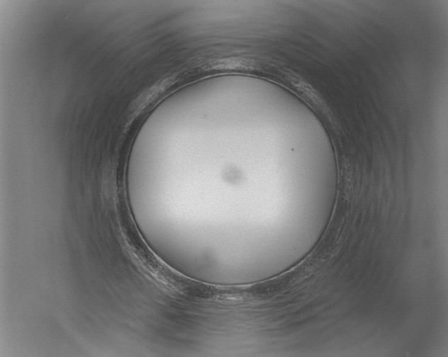 X0000052960482200507300115