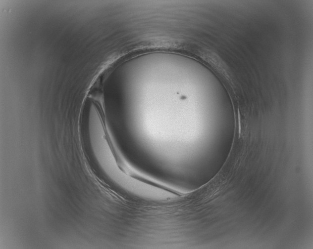 X0000052960483200507300115