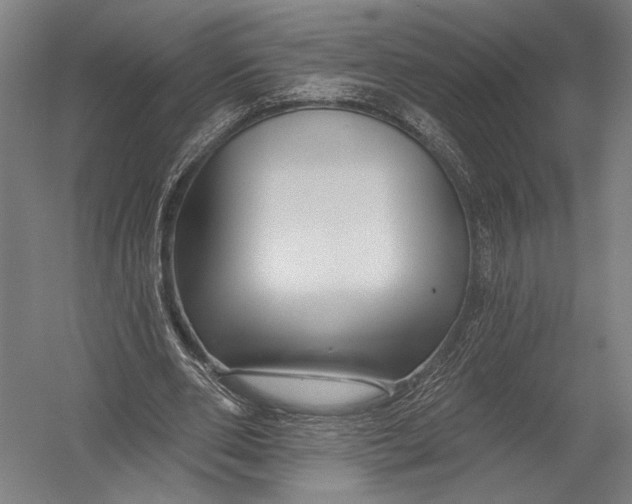 X0000052960486200507300115