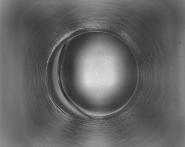 X0000052960488200507300115