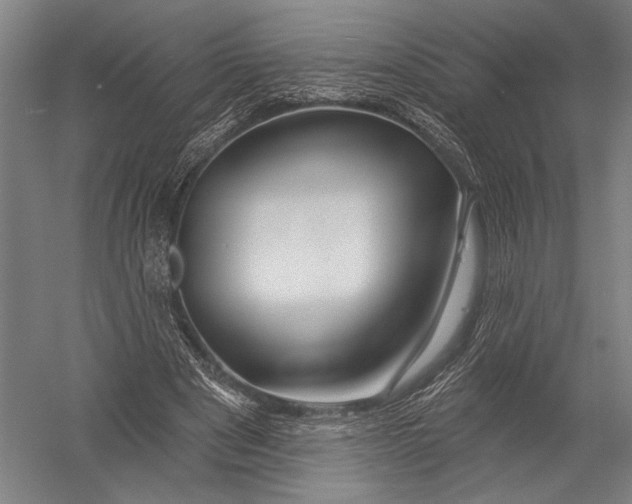 X0000052960489200507300115