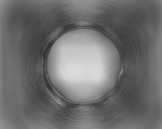 X0000052960490200507300115