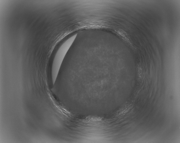 X0000052960491200507300115