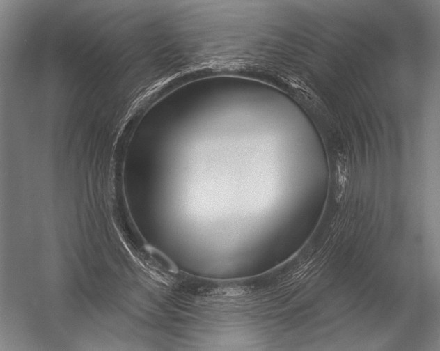 X0000052960492200507300115