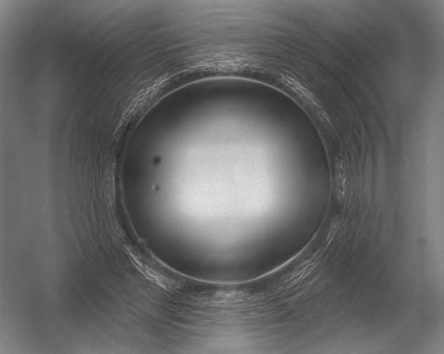 X0000052960493200507300115