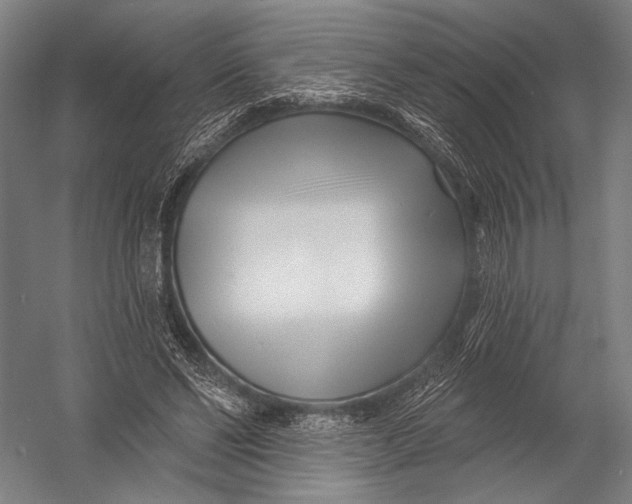 X0000052960494200507300115