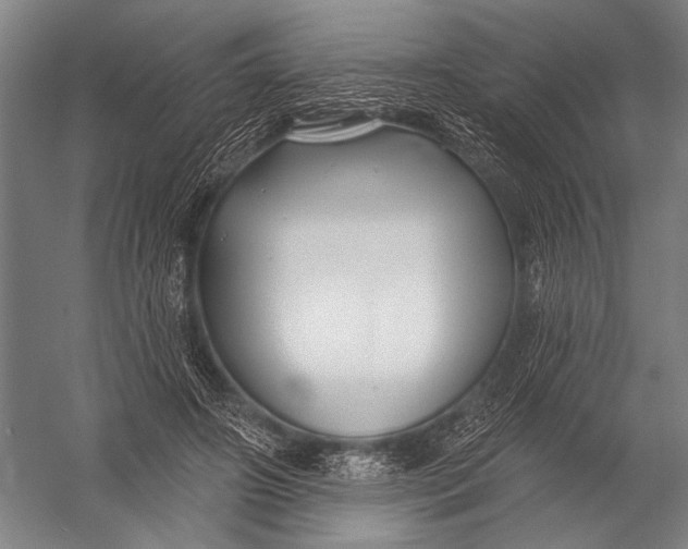 X0000052960498200507300115