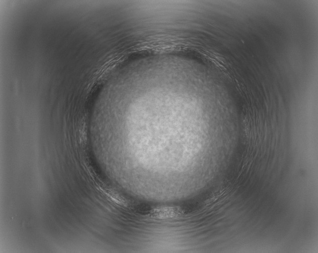X0000052960499200507300115