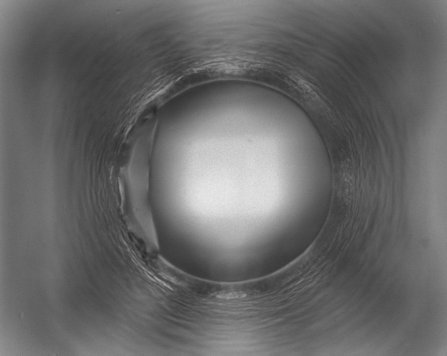 X0000052960500200507300115