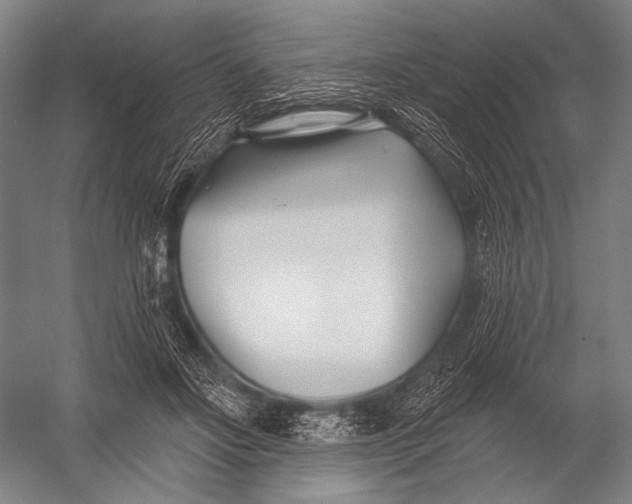 X0000052960502200507300115