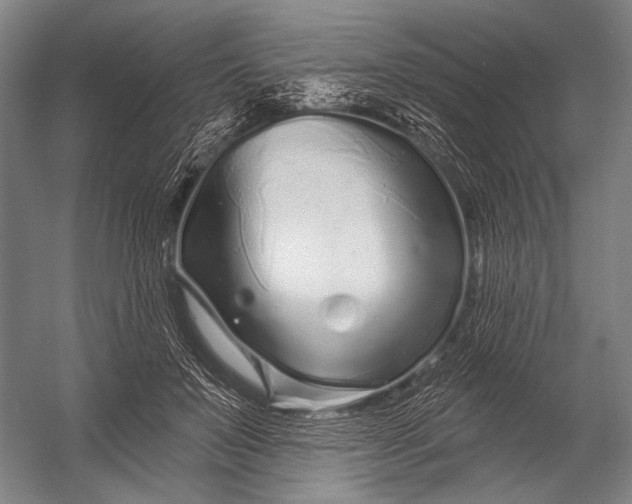 X0000052960503200507300115