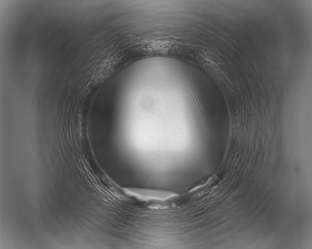 X0000052960504200507300115