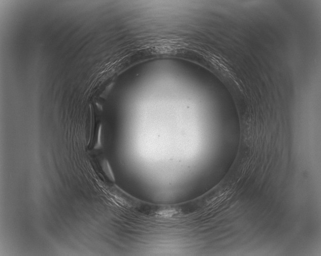 X0000052960505200507300115