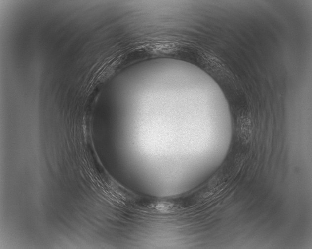 X0000052960506200507300115
