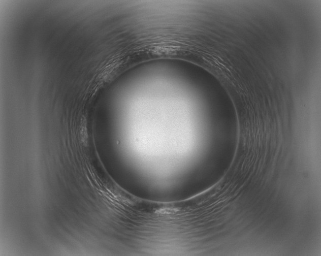 X0000052960508200507300115