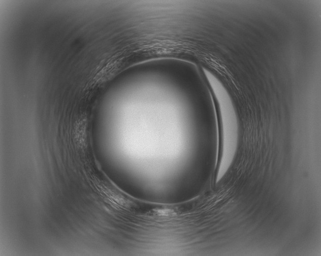 X0000052960509200507300115