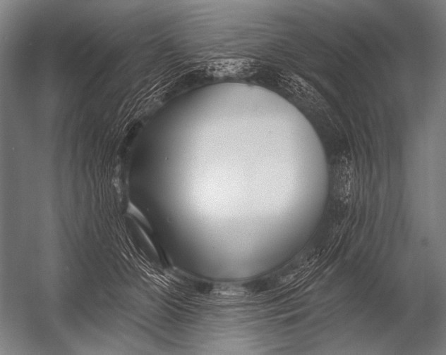 X0000052960510200507300115