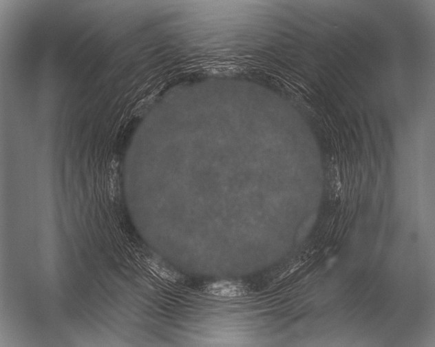 X0000052960511200507300115