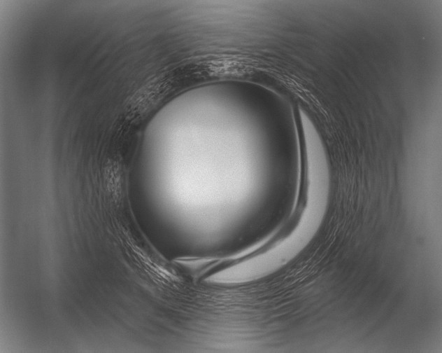 X0000052960513200507300115