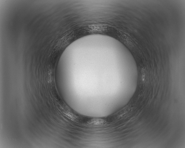 X0000052960514200507300115