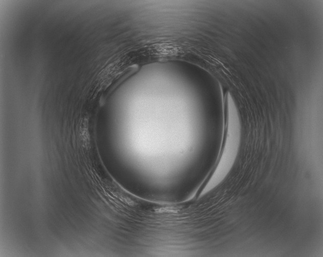 X0000052960516200507300115