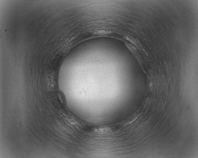 X0000052960517200507300114
