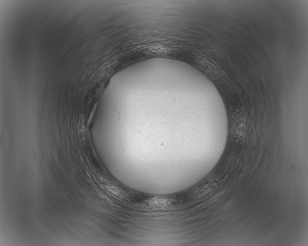 X0000052960518200507300114