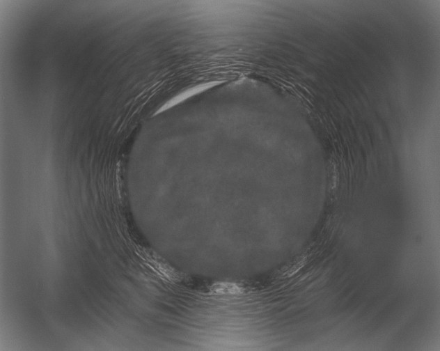 X0000052960519200507300114