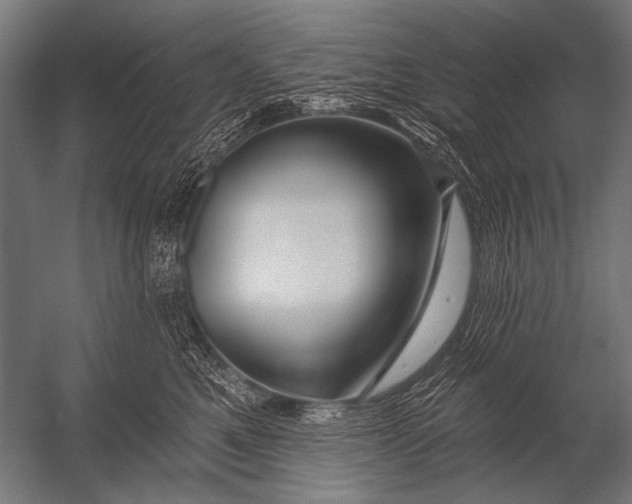 X0000052960521200507300114