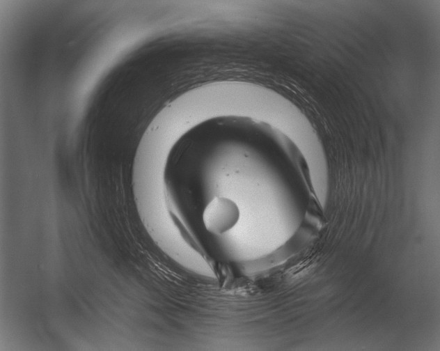 X0000052960524200507300114