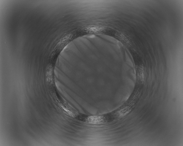 X0000052960526200507300114