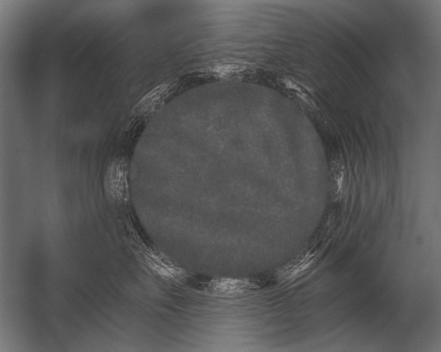 X0000052960527200507300114